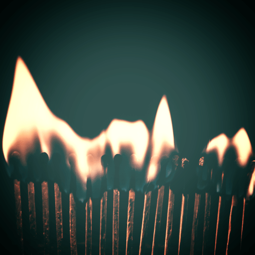 Aviary Photo_131389849817874050